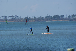 chesapeake bay paddleboard vacation